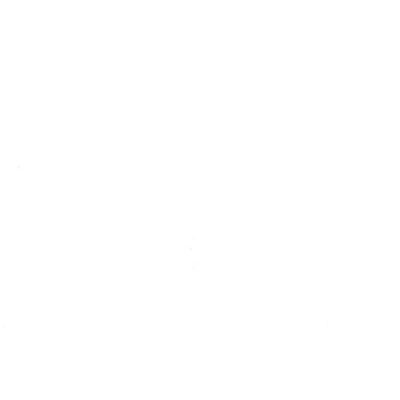 Holzmuster Polarweiß